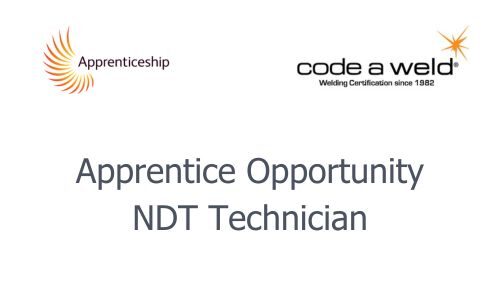 NDT Technician